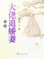 偏执大佬追娇妻
