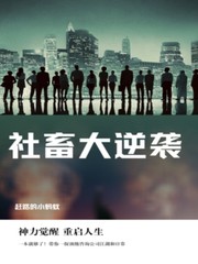 社畜大逆袭